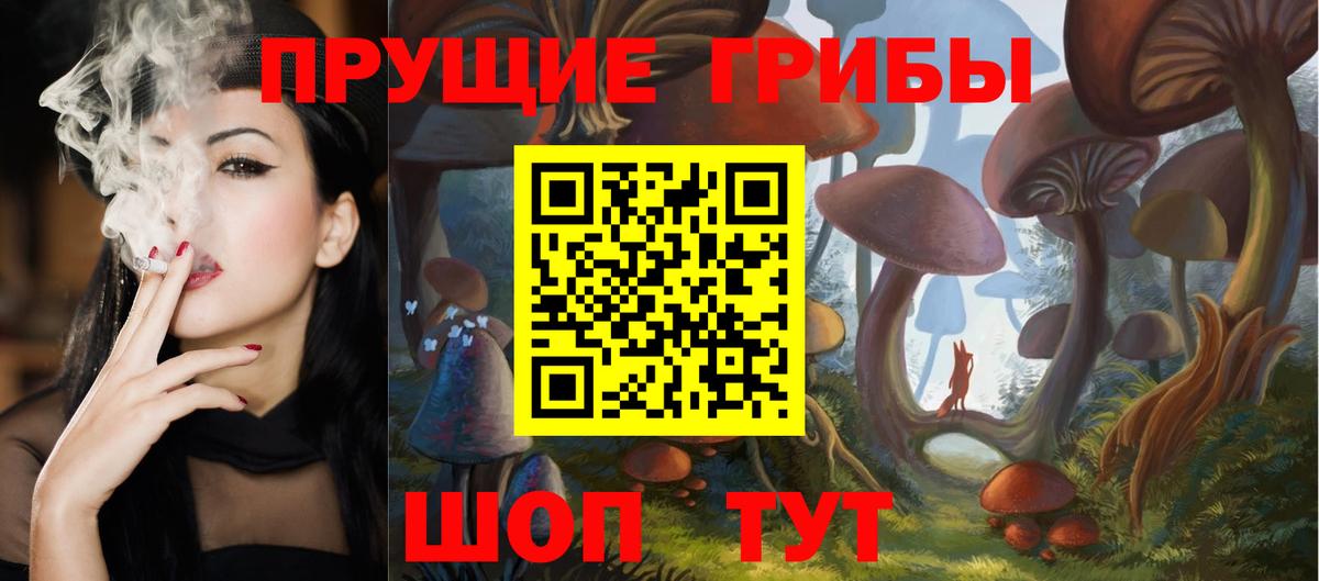 Псилоцибиновые грибы прущие грибы Вятские Поляны
